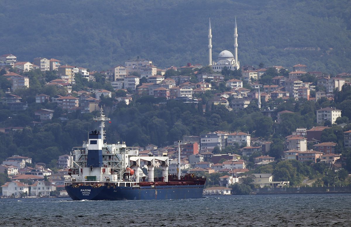 1st Ukraine grain-carrying ship leaving Istanbul for Lebanon
