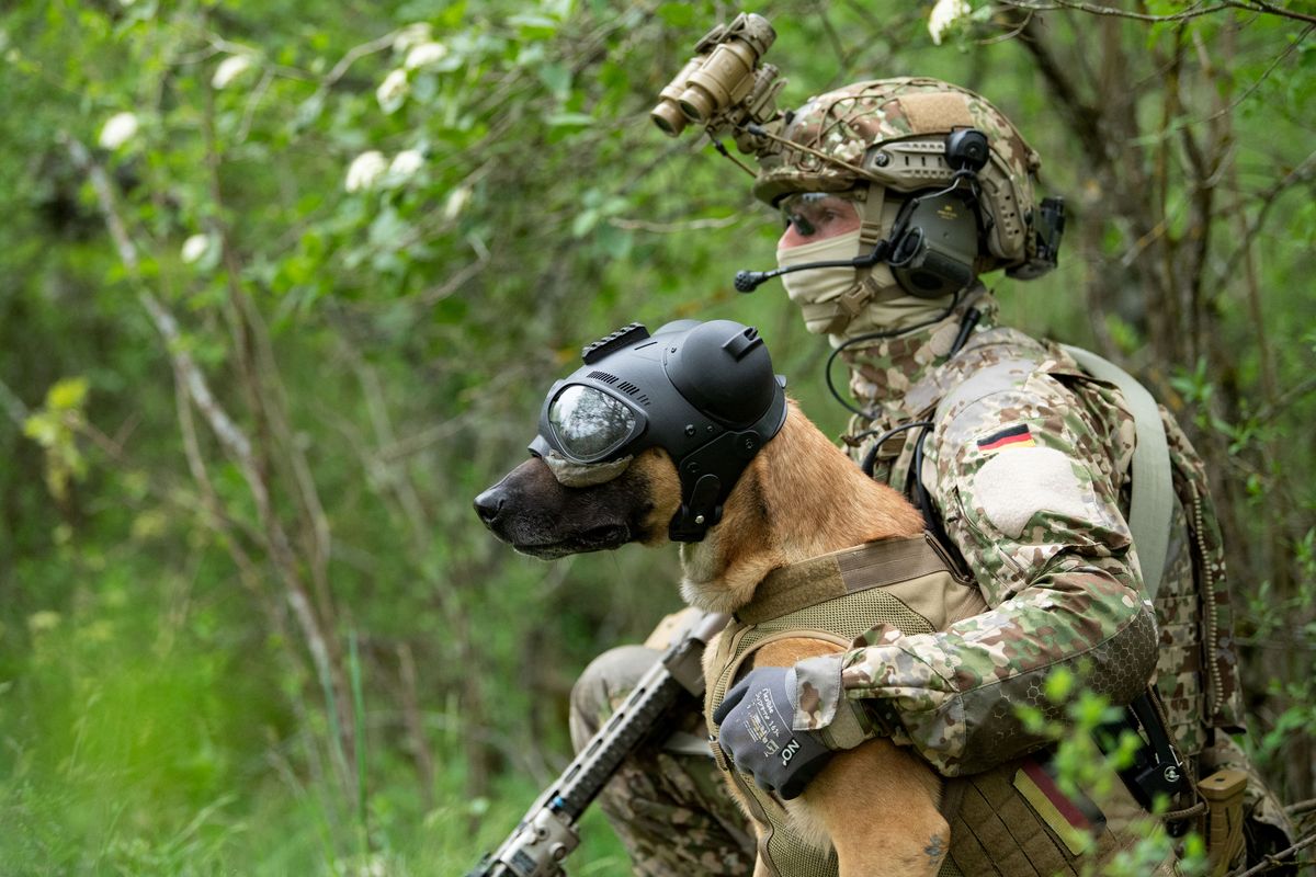 Special Forces Command, 10 May 2021, Baden-Wuerttemberg, Calw: A commando soldier of the German Armed Forces Special Forces Command (KSK), stands in a meadow with an access service dog wearing eye and ear protection during a video shoot for Armed Forces Day. Photo: Marijan Murat/dpa (Photo by Marijan Murat/picture alliance via Getty Images)
