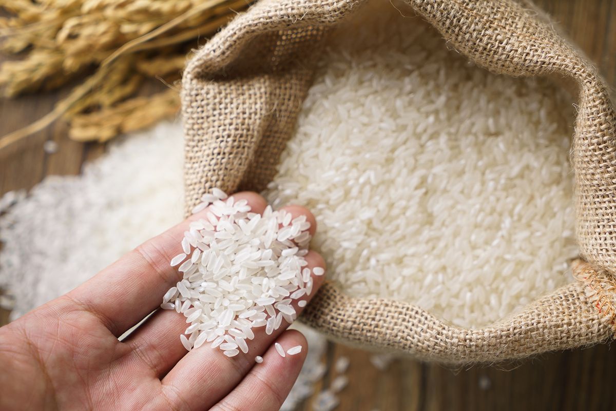 Picking uncooked rice in a small burlap sack Picking uncooked rice in a small burlap sack