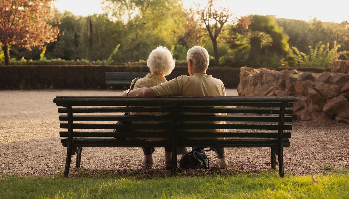 Senior couple sitting on bench in park, rear view
