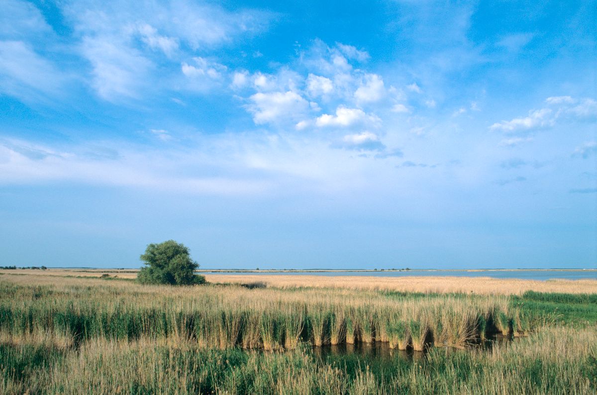 Landscape and wetland of the Hortogaby NP Hungary.Biosphoto / Frédéric Fčve (Photo by Frédéric Fčve / Biosphoto / Biosphoto via AFP) Landscape and wetland of the Hortogaby NP Hungary