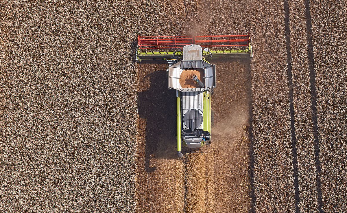 Combine Harvesting Crop Large combine harvesting crop in neat lines, aerial view, close up.  Captured by a licensed UAV operator with a permission for aerial work.
