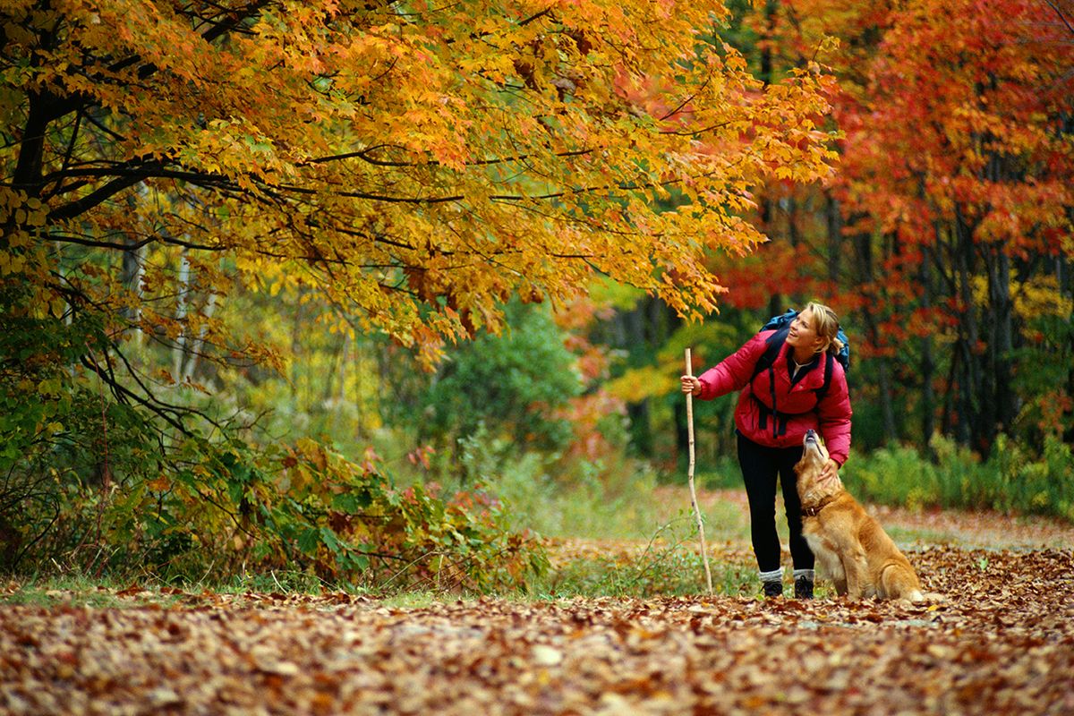 WOMAN HIKING WITH GOLDEN RETRIEVER, MAINE