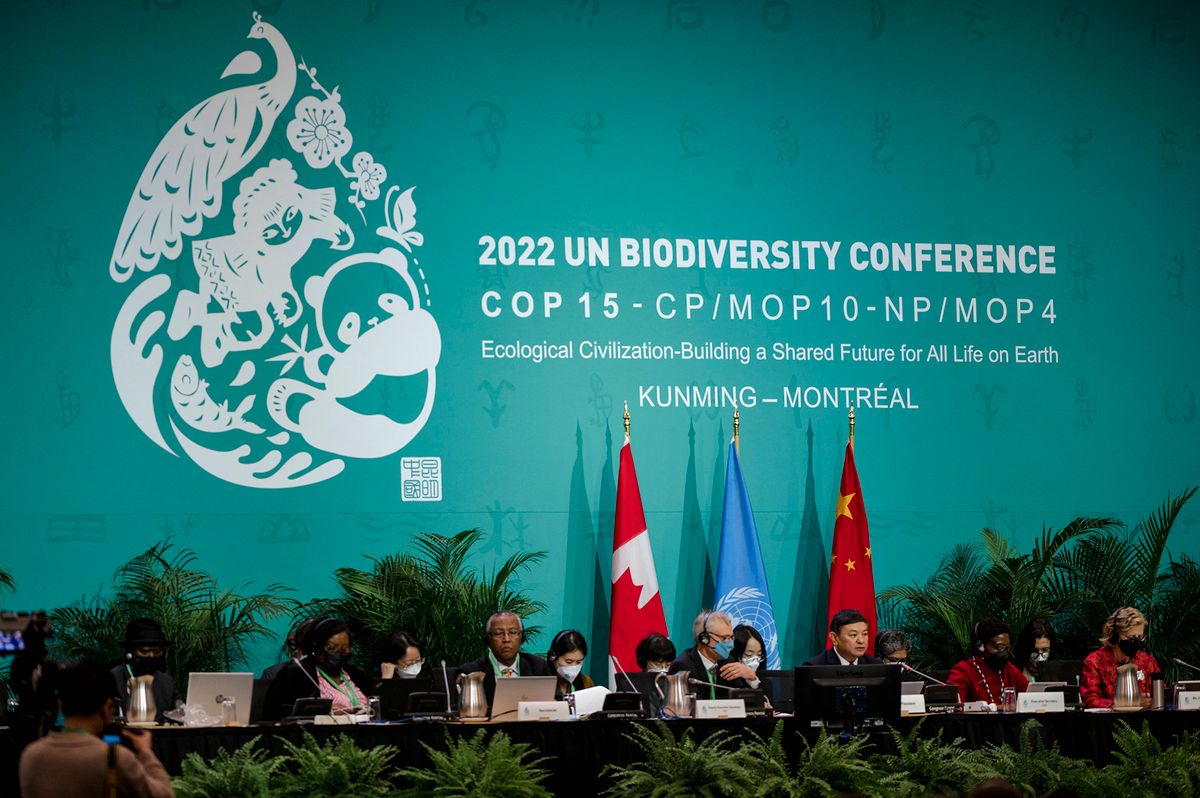 UN Biodiversity Conference - COP15