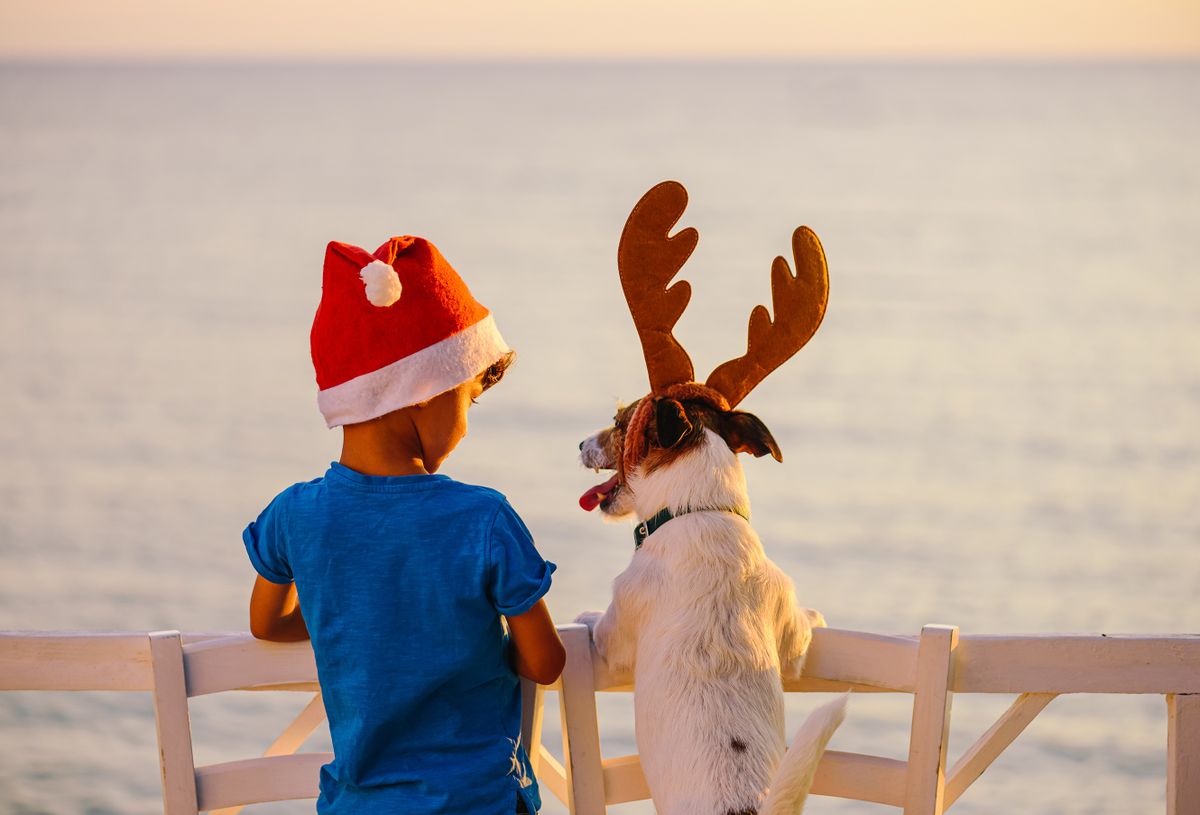 Calm,And,Happy,Christmas,At,Seashore,Concept.,Two,Friends,In