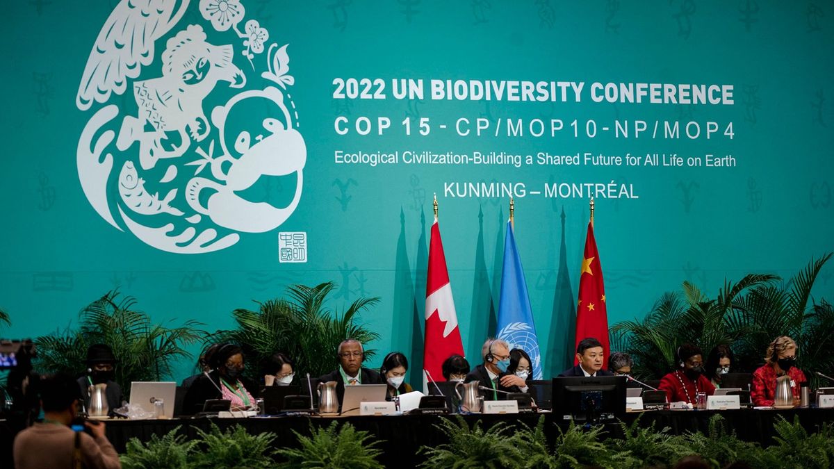 Elkezdődött a COP15, az ENSZ biodiverzitási csúcstalálkozója Montrealban 