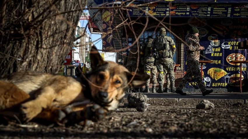 Aquí están los últimos números sobre quién y qué perdieron Rusia y Ucrania en la guerra.