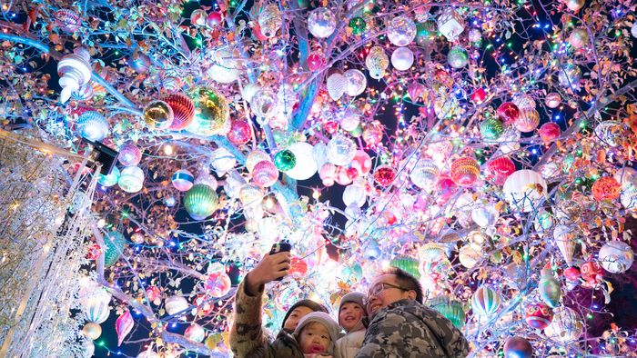 Christmas Tree Lane In San Francisco Attracts Visitors