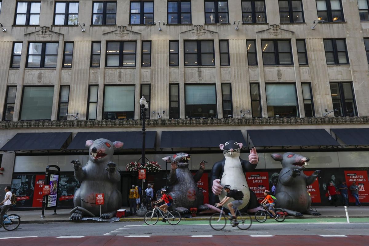 Scabby the giant inflatable protest rat faces extermination by national labor board