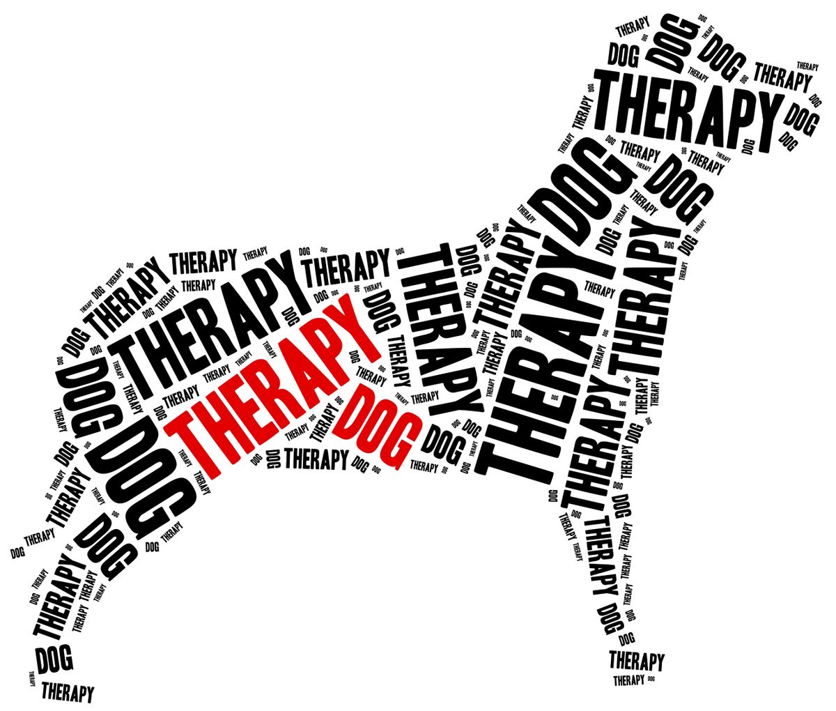 Therapy,Dog,Or,Animal,Assisted,Therapy,Concept.