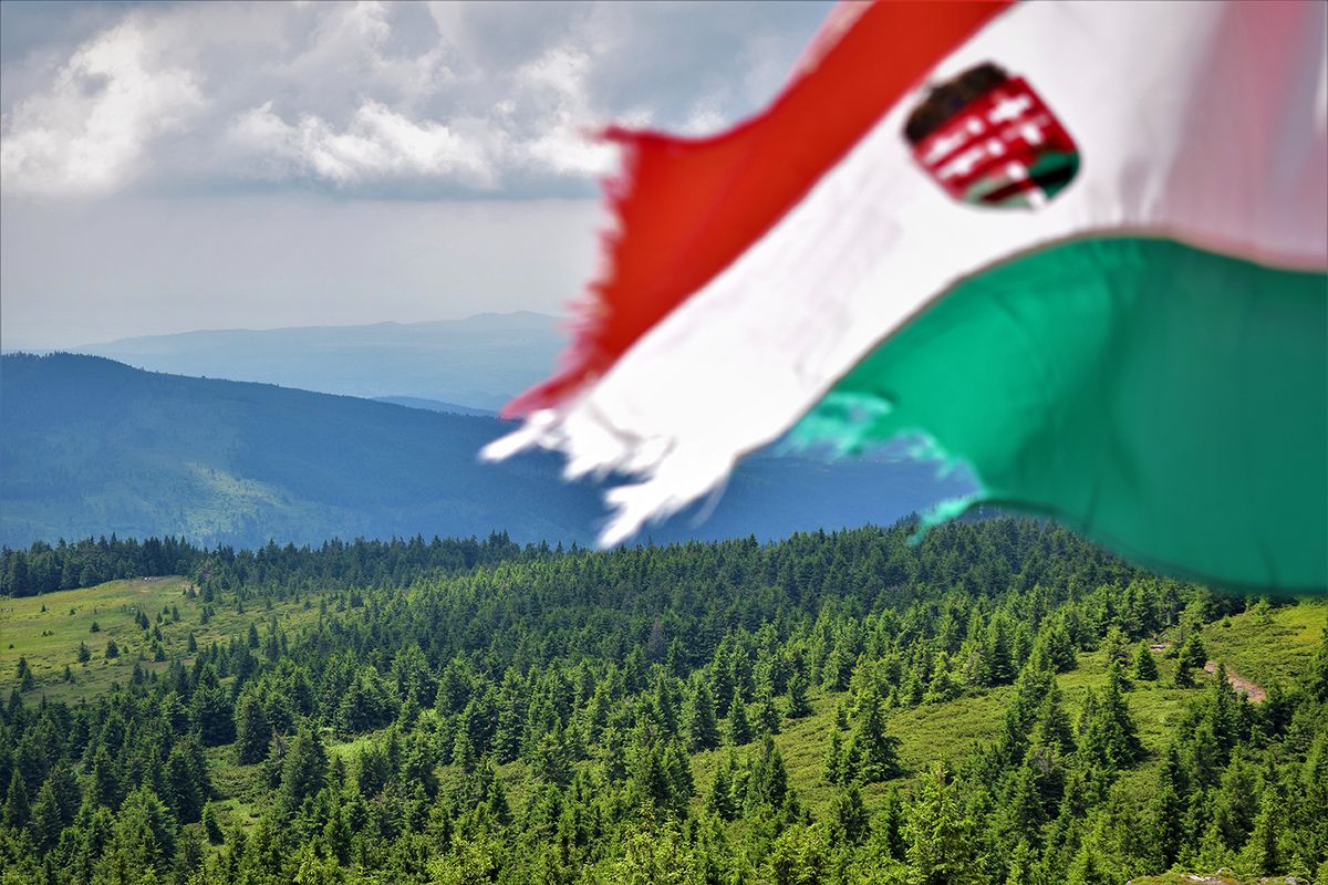 Hungarian,Flag,On,Hargita,Mountain,In,Romania. Hungarian flag on Hargita mountain in Romania.