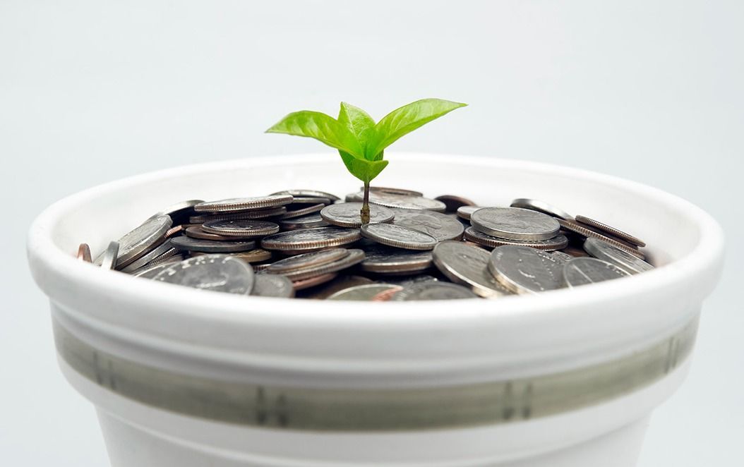 Coins and plant Green seedling growing from the pile of coins, megújuló, energia, pénz, költségvetés, befektetés, támogatás