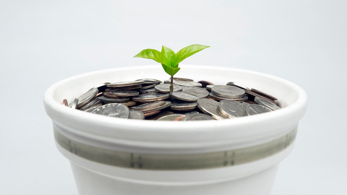 Coins and plant Green seedling growing from the pile of coins, megújuló, energia, pénz, költségvetés, befektetés, támogatás