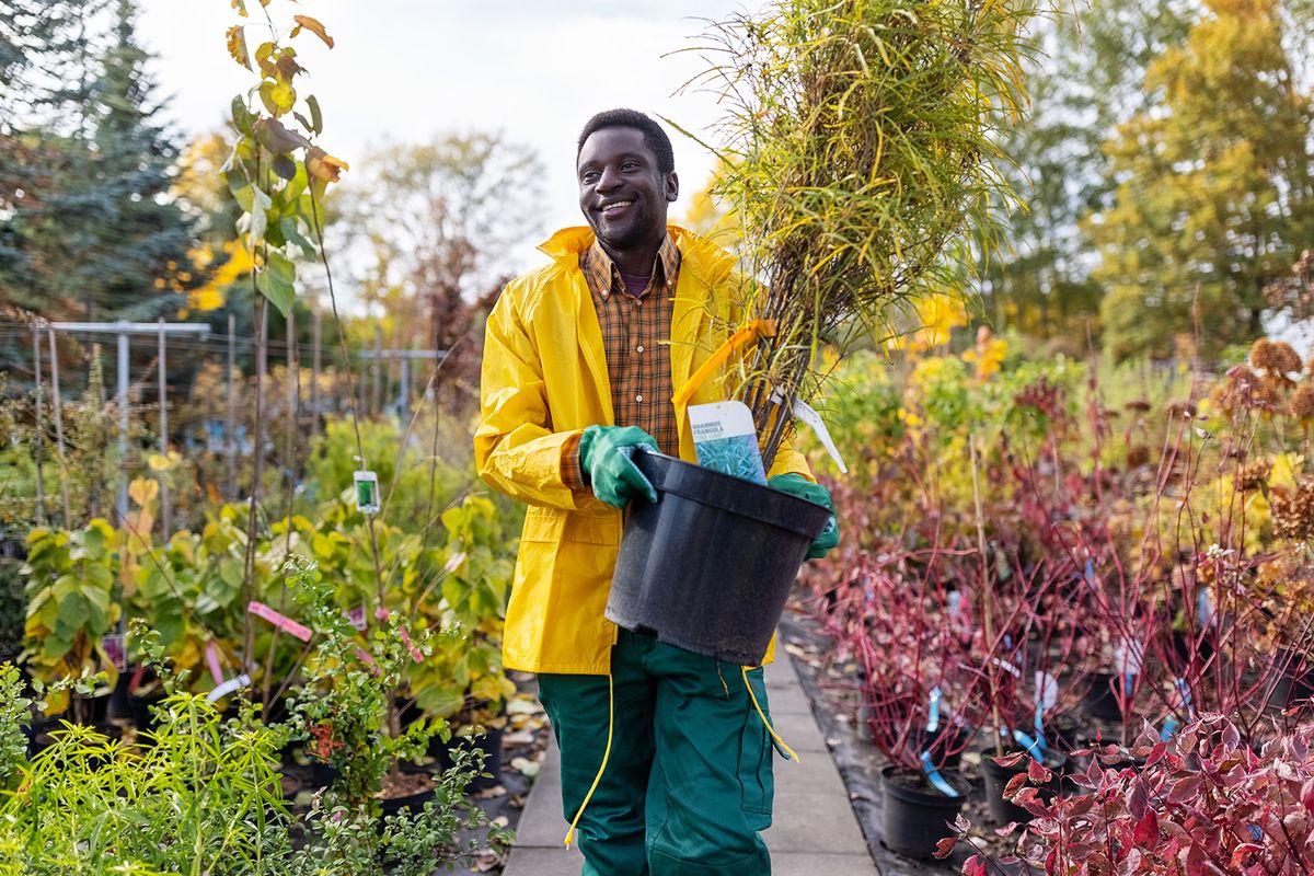 African man working in garden center moving potted plant