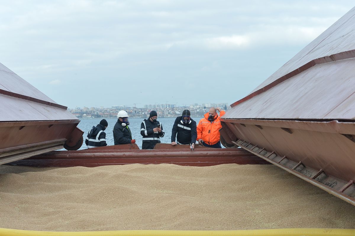 Inspection of the 5th ship carrying wheat from Ukraine to Afghanistan