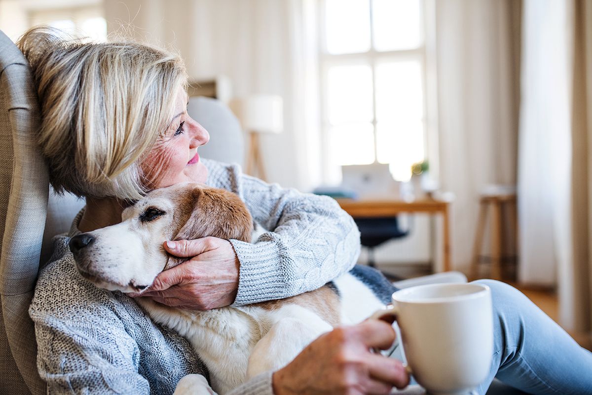 An active senior woman with a dog at home, resting. A confident female pensioner with a pet relaxing.
