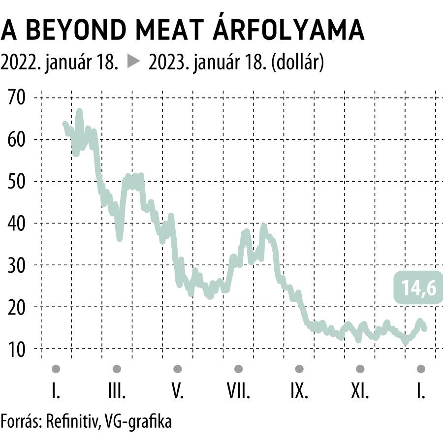 A Beyond Meat árfolyama 1 éves
