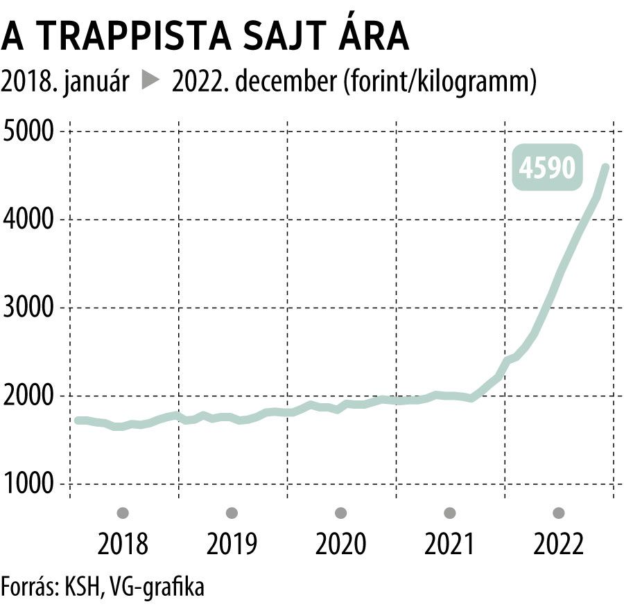 A trappista sajt ára
