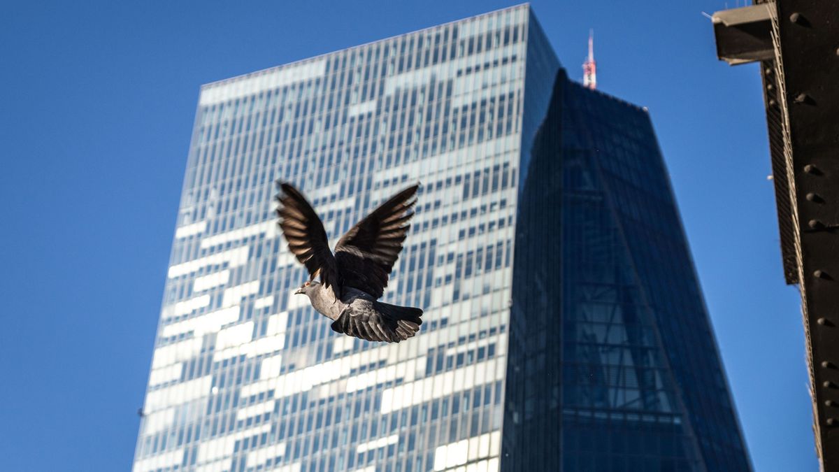 07 February 2023, Hesse, Frankfurt/Main: A pigeon takes off in bright sunshine in front of the European Central Bank headquarters. 