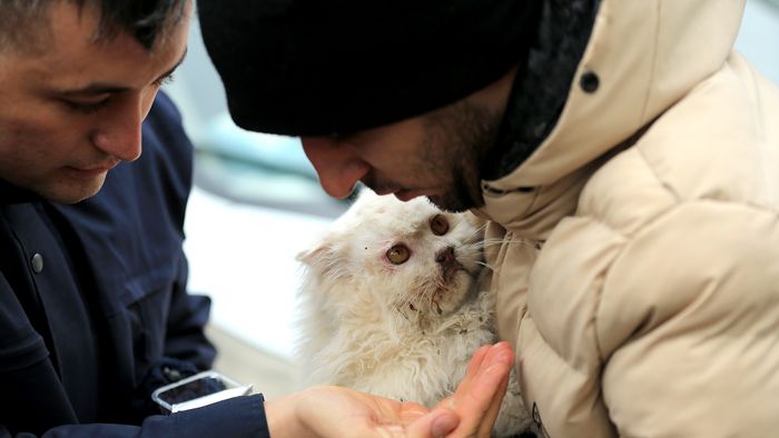 A cat rescued under rubble in Turkiye's Diyarbakir
DIYARBAKIR, TURKIYE - FEBRUARY 06: Turkish gendarmerie rescued a cat under rubble of a Galeria Mall after a 7.4 magnitude earthquake hit Diyarbakir, Turkiye on February 06, 2023. The 7.4 magnitude earthquake jolted southern province of Kahramanmaras of Turkiye early Monday, according to Disaster and Emergency Management Authority of Turkiye (AFAD). It was followed by a magnitude 6.4 quake that struck southeastern Gaziantep province. A third earthquake with a 6.5 magnitude also hit Gaziantep. Earthquakes had affected several provinces including, Osmaniye, Malatya, Adiyaman, Adana, Diyarbakir, Kilis and Sanliurfa. (Photo by Aydin Arik/Anadolu Agency via Getty Images)