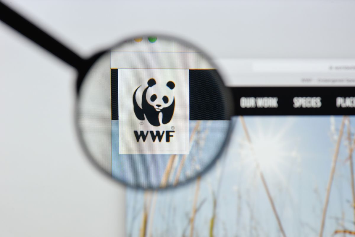 Milan, Italy - August 20, 2018: WWF website homepage. WWF logo visible.