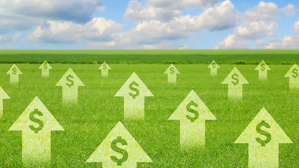 Arrows,With,Dollar,Sign,All,Over,Green,Field.,Nature,Landscape