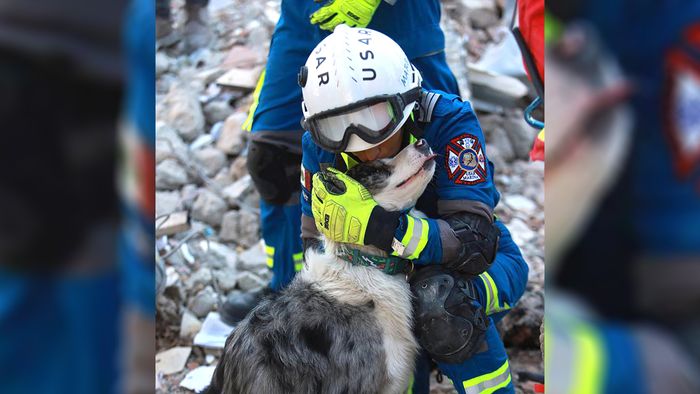 Handout picture released by the Mexican Ministry of Foreign Affairs showing quake rescue dog "Balam" being caressed by a Mexican rescuer during rescue efforts after the 7.8-magnitude earthquake that struck Turkey and Syria, in Adiyaman, Turkey, on February 9, 2023. - Time was running out for survivors buried in the rubble of the earthquake in Turkey and Syria, as search efforts near the crucial 72-hour mark, a rescue response expert said Wednesday. (Photo by Mexican Ministry of foreign Affairs / Mexican Foreign Ministry / AFP) / RESTRICTED TO EDITORIAL USE - MANDATORY CREDIT "AFP PHOTO / MEXICAN FOREIGN MINISTRY" - NO MARKETING - NO ADVERTISING CAMPAIGNS - DISTRIBUTED AS A SERVICE TO CLIENTS