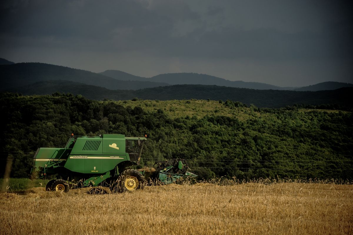Combine machine is seen harvesting a field of wheat near the Bulgarian village of Starchishte, Targovishte, Bulgaria on July 13, 2020. This year due to the heavy rains in June the crops of wheat were almost ruined, Starchishte village, Targovishte, Bulgaria on July 13, 2020 