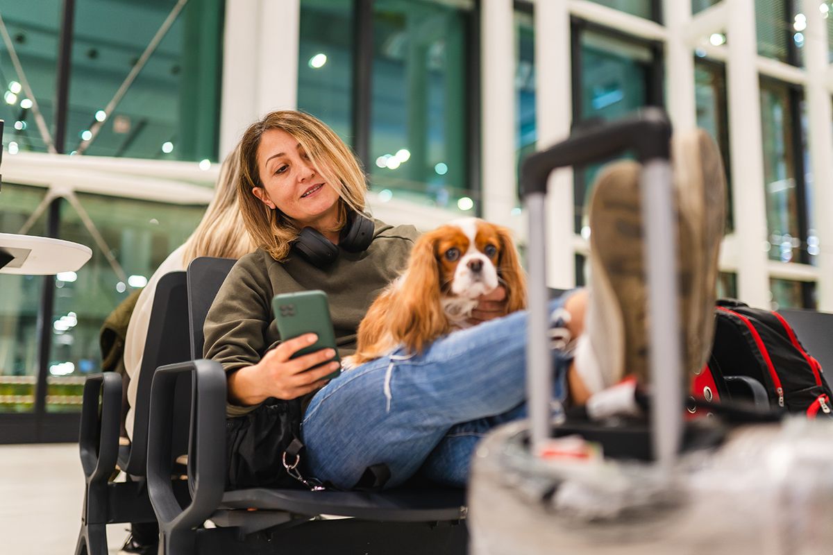 UTAZÁS
Woman waiting for her flight at the airport with her dog