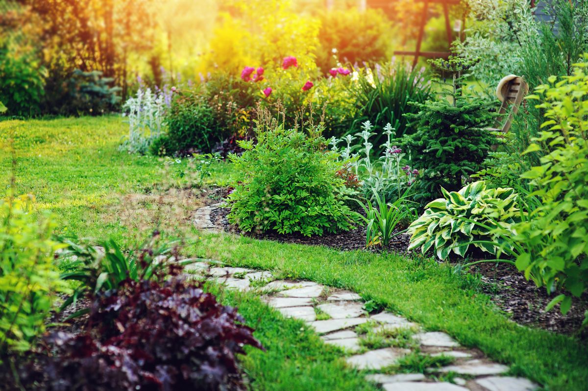 Beautiful,Summer,Cottage,Garden,View,With,Stone,Pathway,And,Blooming