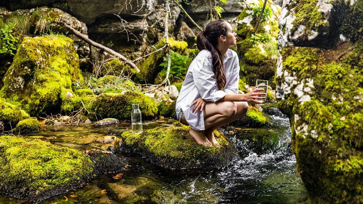 Thoughtful woman with drinking glass crouching on rock by river
Side view of thoughtful young woman holding drinking glass and crouching on rock by flowing river in rainforest