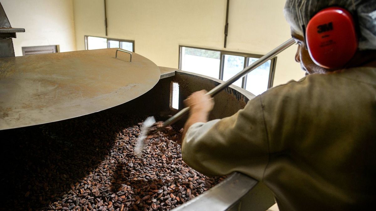 Brazil-Cocoa
Helio Carlos Silva Oliveira seating cocoa seeds at Cooperbahia's about 150 km from Ilheus in the city of Ubatã , Bahia Brazil on Thursday May 28th, 2015 (Photo by Paulo Fridman/Corbis via Getty Images)