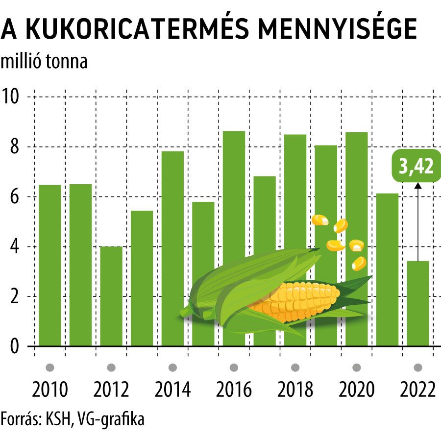 A kukoricatermés mennyisége 2022
