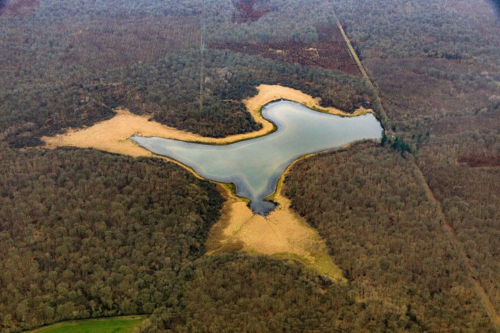 France indre et loire souvigny de touraine water shortage on large pond twins forest
aszály