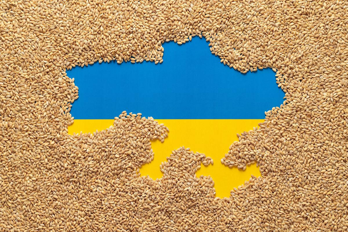 Political,Map,Of,Ukraine,Laid,Out,With,Grain,Of,Wheat