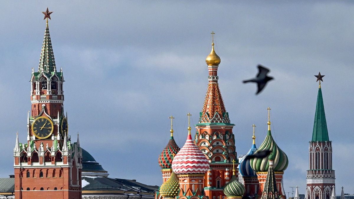 A pigeon flies in front of the Kremlin's Spasskaya tower (L) and Saint Basil's cathedral (C) in Moscow on March 1, 2023. (Photo by Kirill KUDRYAVTSEV / AFP)
