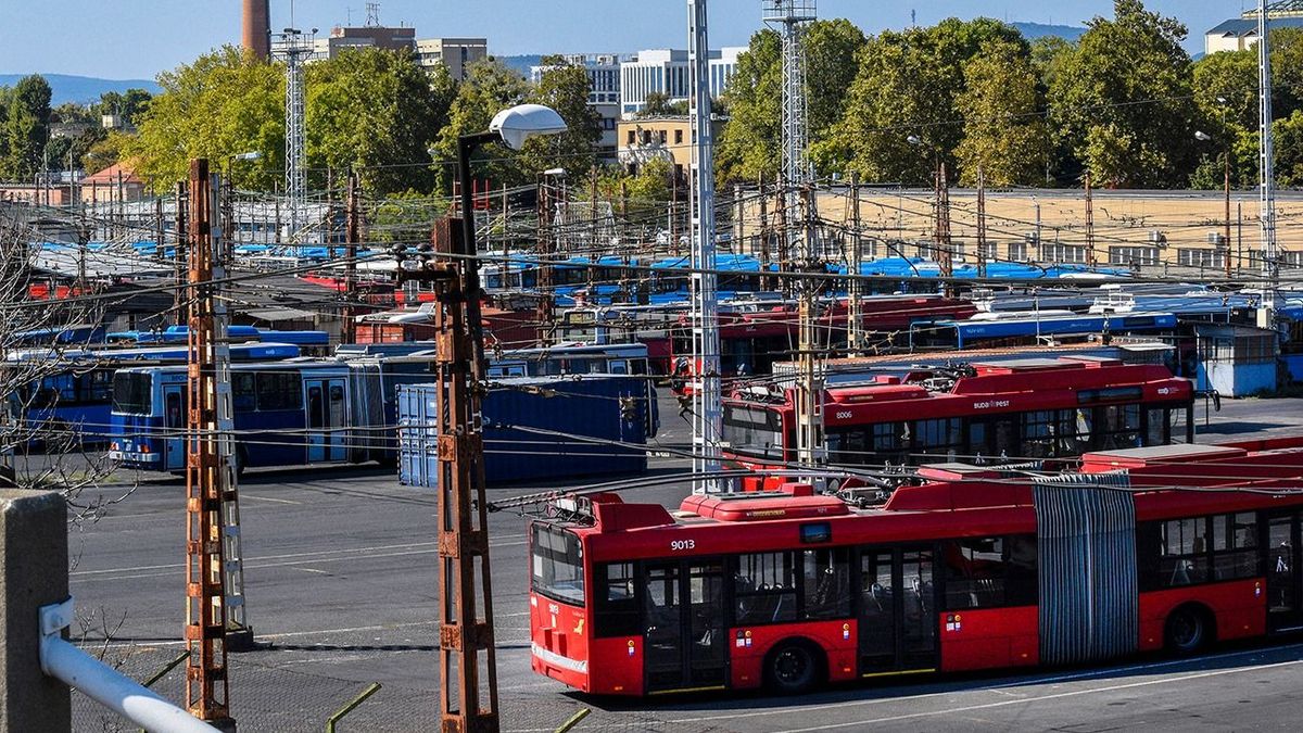 Mindenki buszsofőr akar lenni: özönlenek a BKV-hoz a jelentkezők