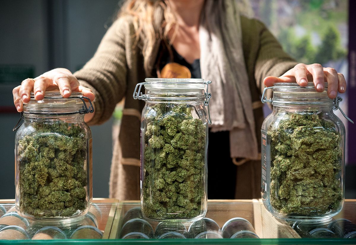 Glass,Jar,Full,Of,Cannabis,Sativa,For,Sale,At,A
Glass jar full of Cannabis Sativa for sale at a market stall.