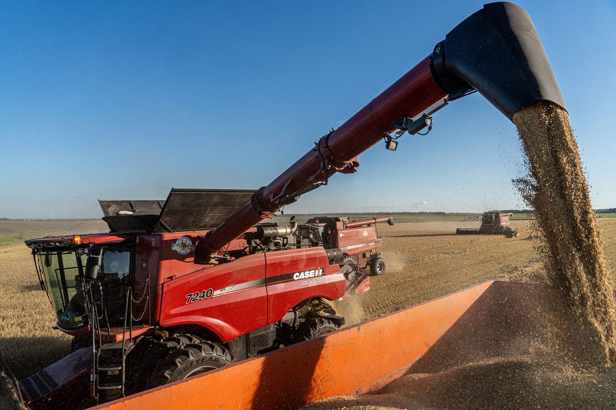 Kharkiv, Ukraine - Jule, 18, 2022: The combine unloads the grain collected in the field into the truck. Grain harvesting. The concept of food security in the world. Export of Ukrainian grain