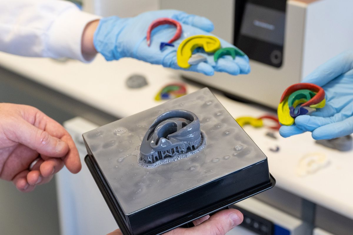 SWANSEA, WALES - JULY 21: A close-up of a bioprinted (front) and 3D printed ears at the Institute of Life Sciences at Swansea University on July 21, 2021 in Swansea, Wales. A three-year £2.5 million research programme funded by the Scar Free Foundation and Health and Care Research Wales at Swansea University will aim to advance the development of 3D bioprinted facial cartilage using human cells and plant based materials. This will be combined with the world's largest study of people living with facial scars to assess the psychosocial impacts on patients. 
