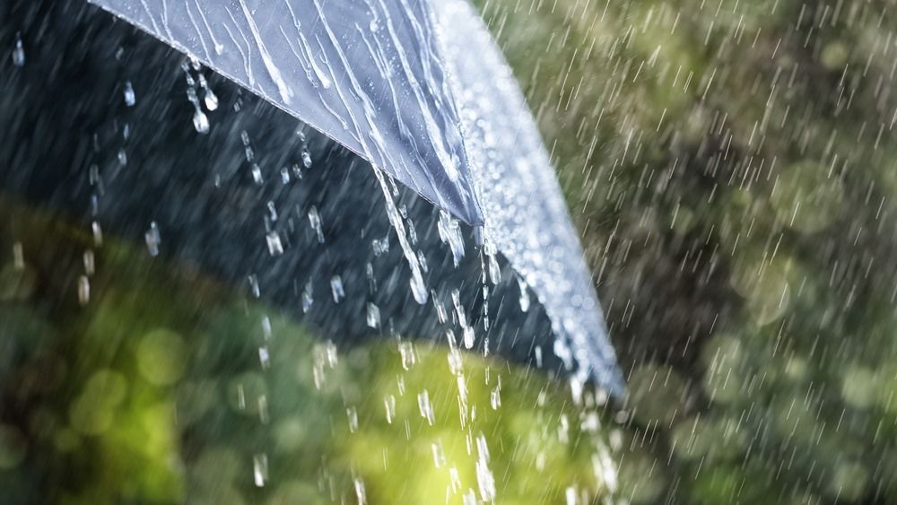 Rain,Drops,Falling,From,A,Black,Umbrella,Concept,For,Bad
eső, rain, rainy, tavasz, ősz, spring, autumn
