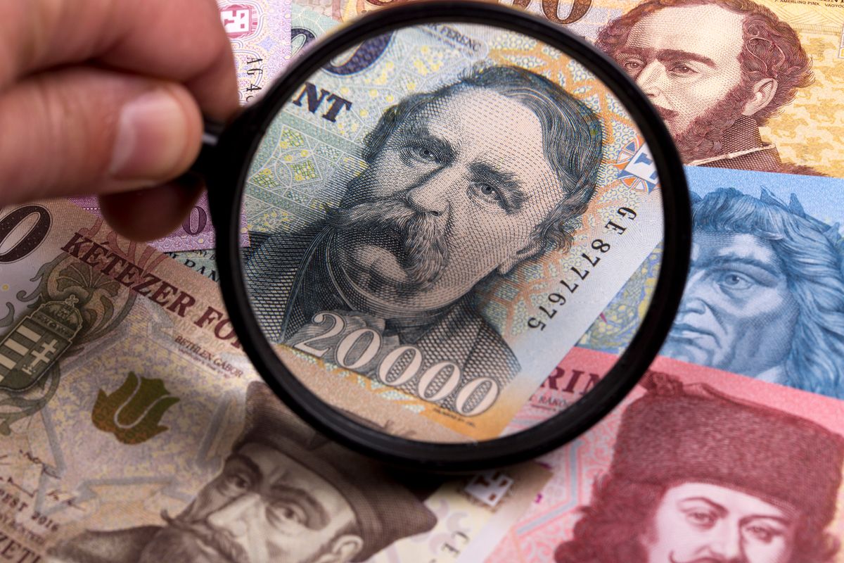 Hungarian forint in a magnifying glass