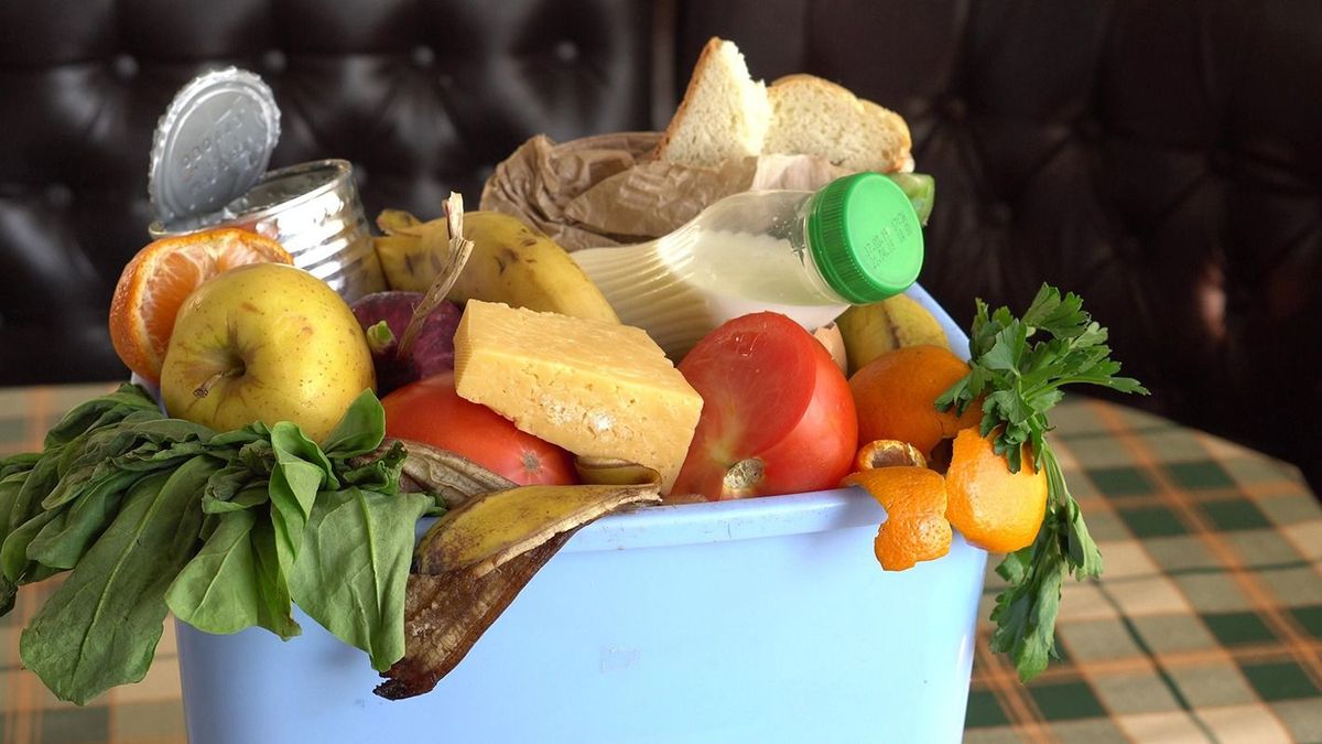 Uneaten,Spoiled,Vegetables,Are,Thrown,In,The,Trash.,Food,Loss
Uneaten spoiled vegetables are thrown in the trash. Food Loss and Food Waste. Reducing Wasted Food At Home