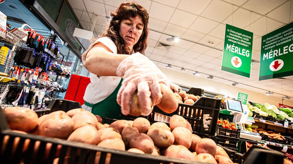 20221114 Békéscsaba ÁrstopValamennyi érintett Békés megyei élelmiszerüzletben kapható krumpli és tojás. Egyelőre nem indult roham egyik termék iránt sem a boltokban.