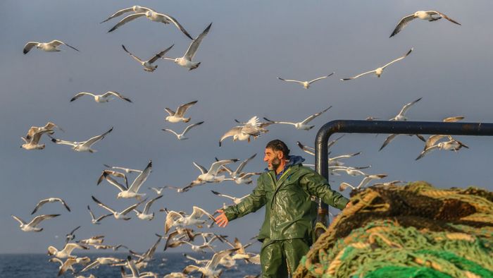 Seasonal fishermen are on the clock through the sea