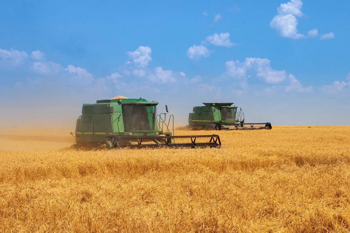 Dnipro.,Ukraine,10,July,2021.,Two,Green,Harvesters,Harvest,Golden
Dnipro. Ukraine 10 July 2021. Two green harvesters harvest golden wheat. Harvester machine to harvest wheat field working. Combine harvester agriculture machine harvesting golden ripe wheat field. 