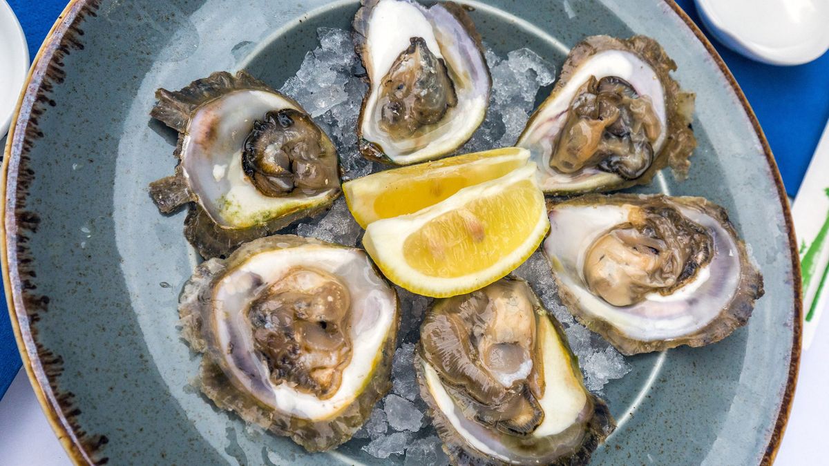 Plate,Of,Oysters,At,Split,,Croatia.