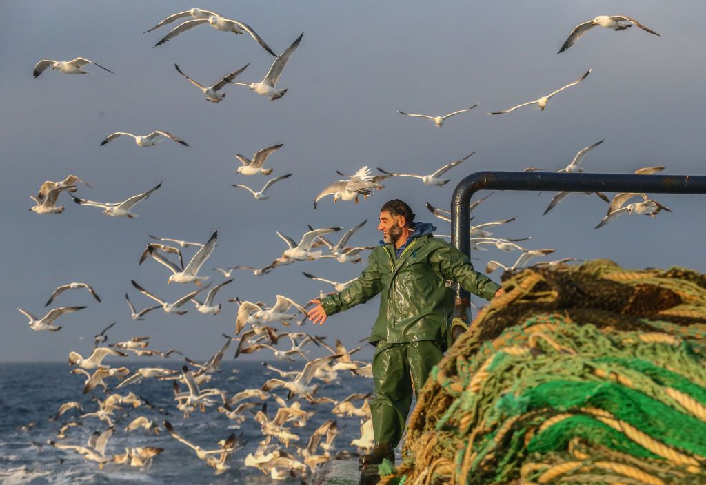 Seasonal fishermen are on the clock through the sea