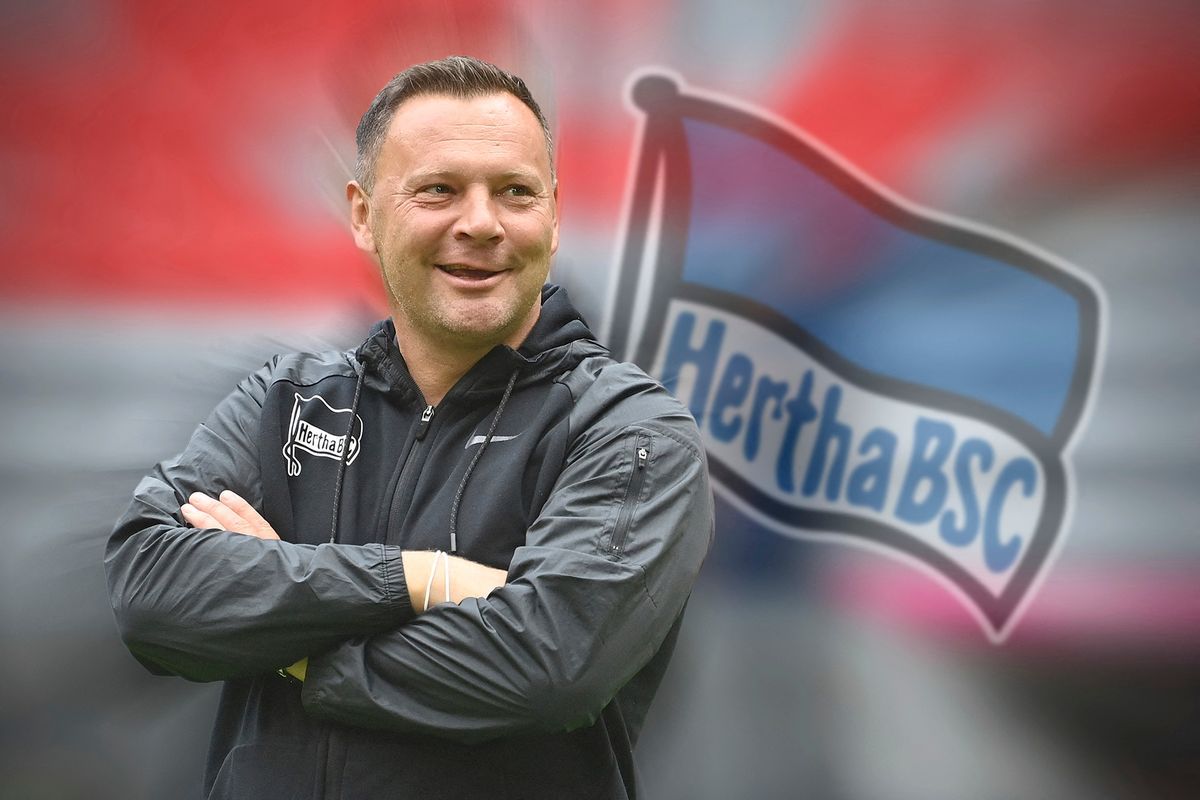 Pal DARDAI is about to return to Hertha BSC and is to become the new coach.