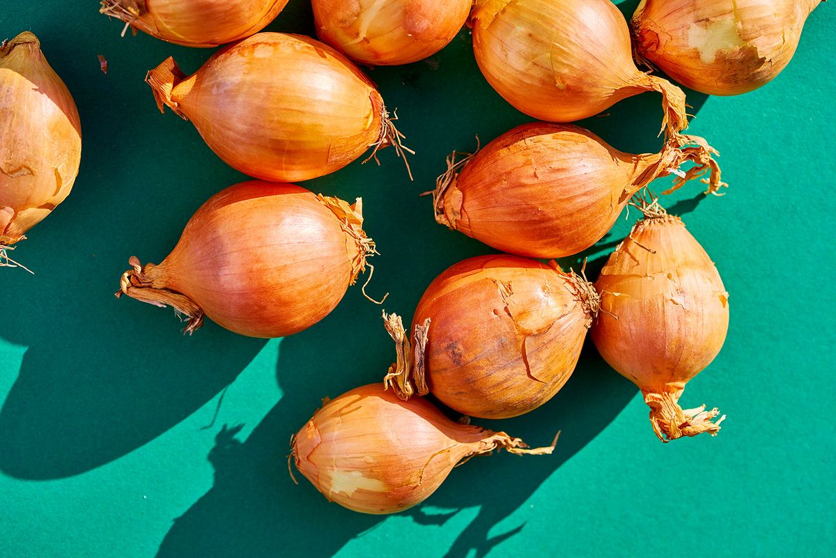High Angle View Of Onions On Green Background